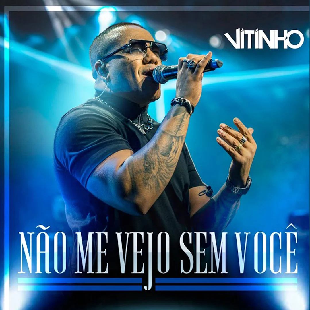 Não Me Vejo Sem Você